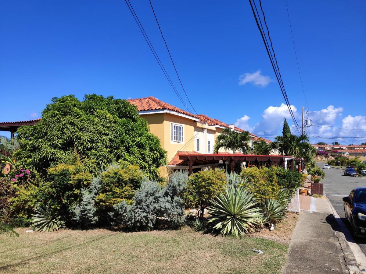 Montego Bay Garden Studio מראה חיצוני תמונה