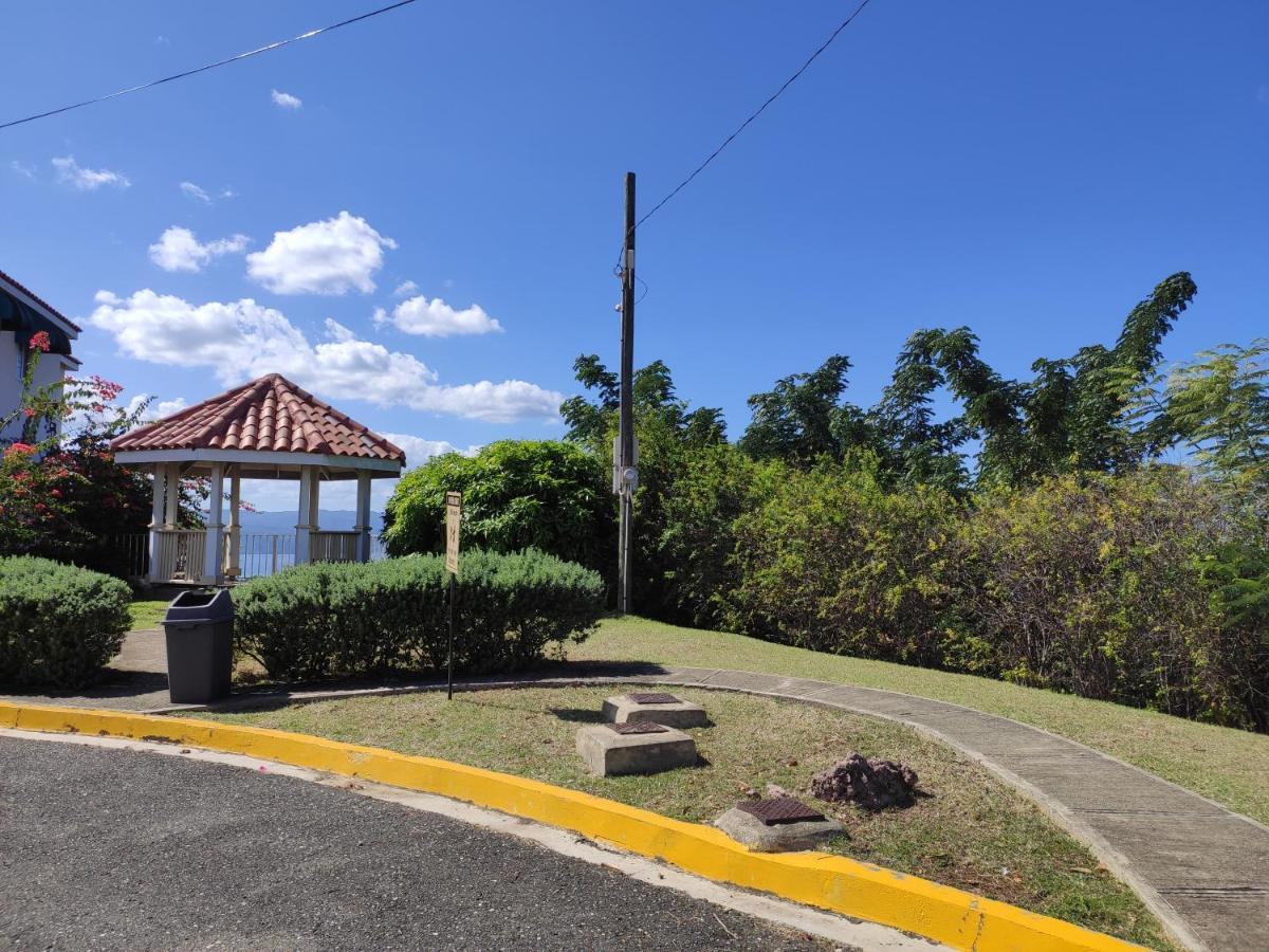 Montego Bay Garden Studio מראה חיצוני תמונה